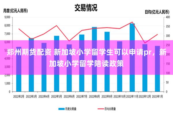 郑州期货配资 新加坡小学留学生可以申请pr，新加坡小学留学陪读政策