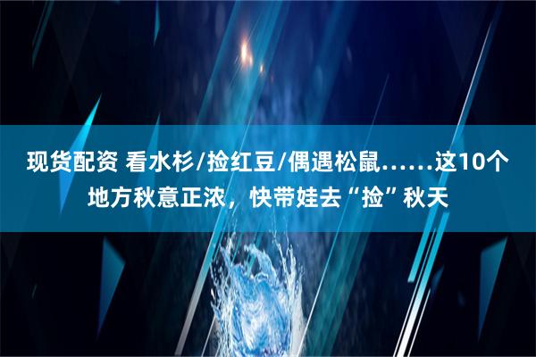 现货配资 看水杉/捡红豆/偶遇松鼠……这10个地方秋意正浓，快带娃去“捡”秋天