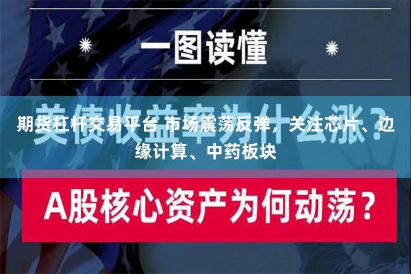 期货杠杆交易平台 市场震荡反弹，关注芯片、边缘计算、中药板块