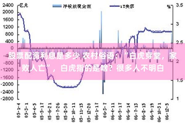 股票配资利息是多少 农村俗语：“白虎穿堂，家败人亡”，白虎指的是啥？很多人不明白